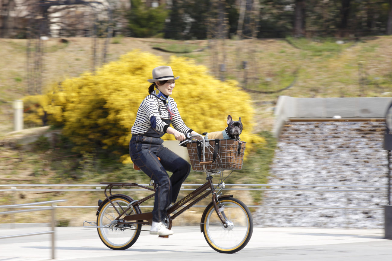 わんこと乗れる自転車「POTTA」に、フレブルオーナーもゾッコン！ 〜愛ブヒと風を感じよう〜 フレンチブルドッグライフ