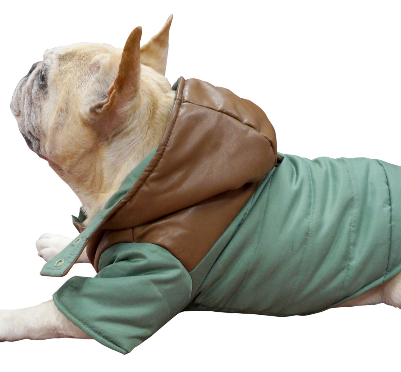 1c342ae183983defaaae0029d96550