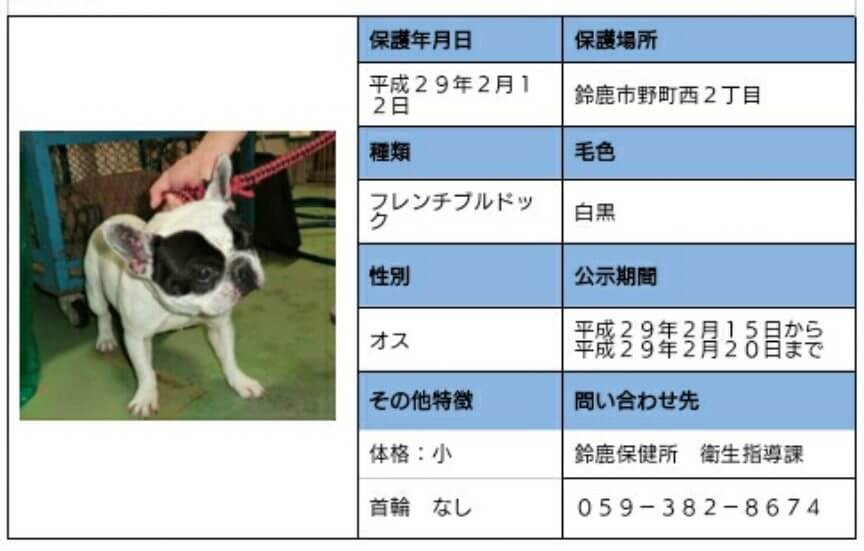 迷子犬
