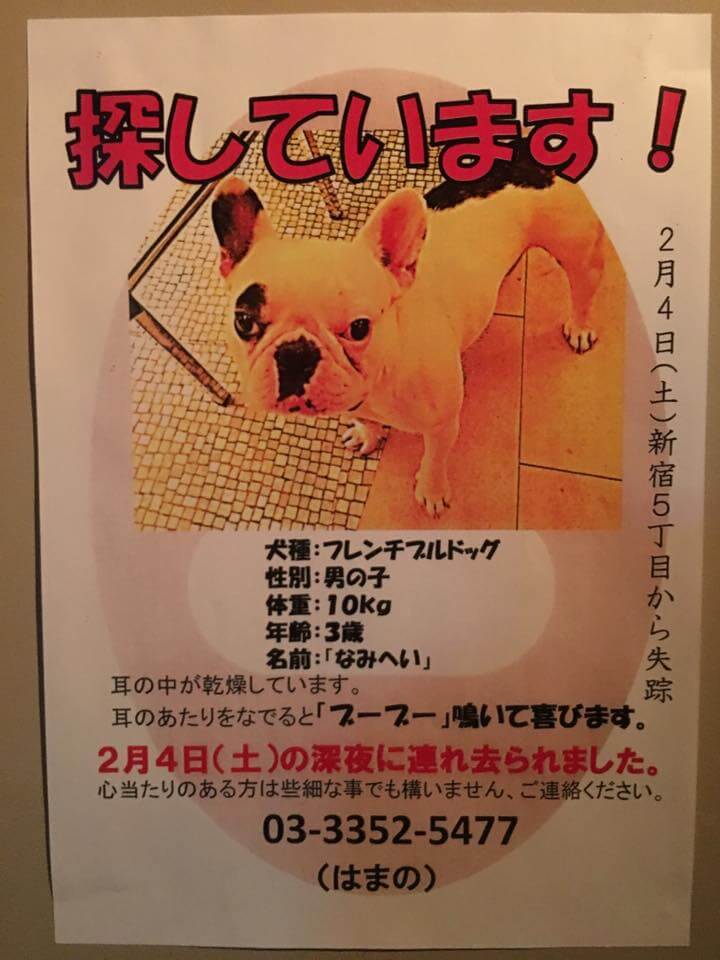 迷子犬