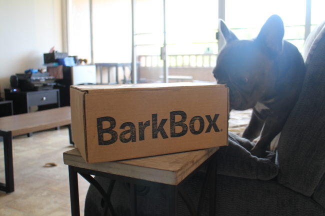 フレンチブルドッグ BarkBox