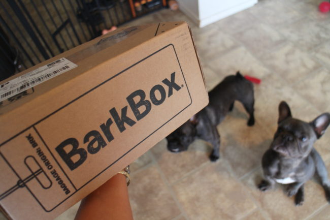 フレンチブルドッグ BarkBox