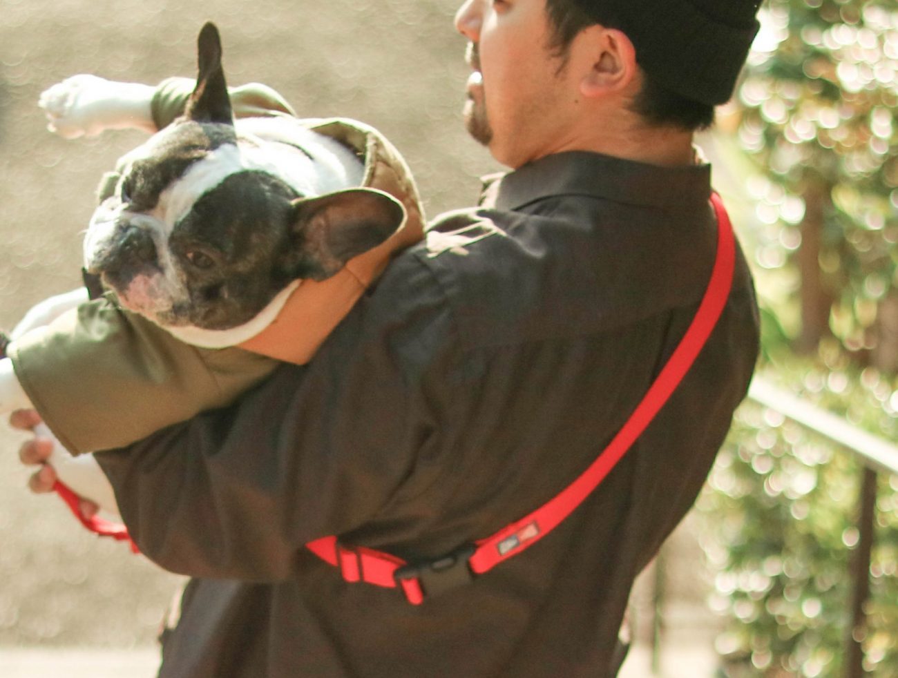 安心と信頼のBulldoss（ブルドス）が開発！愛ブヒを守る「セーフティ