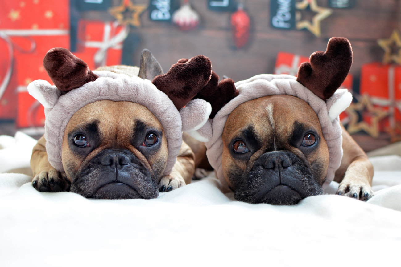 Firnshutterstock_1221977671-