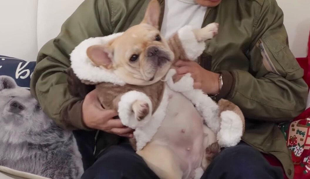 草彅パパになにをもらった？くるみちゃんのクリスマス〜草彅剛