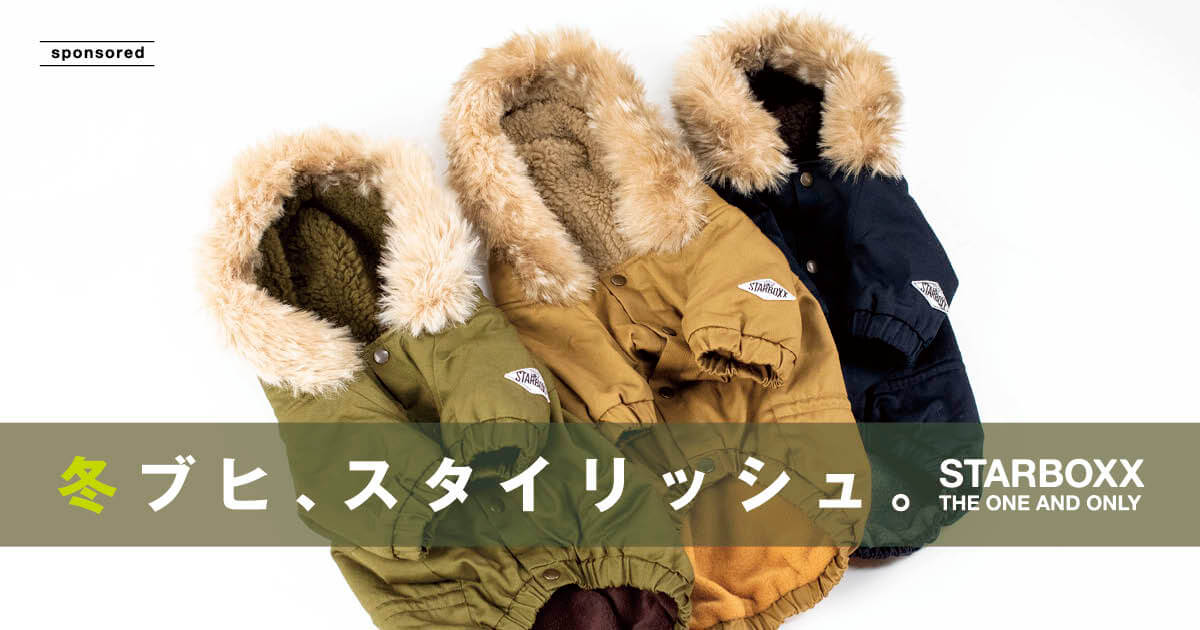 STARBOXx スターボックスス　モッヅコート　FB/M 美品 この冬、フレブルはモッズコートとニットで原点に】流行に