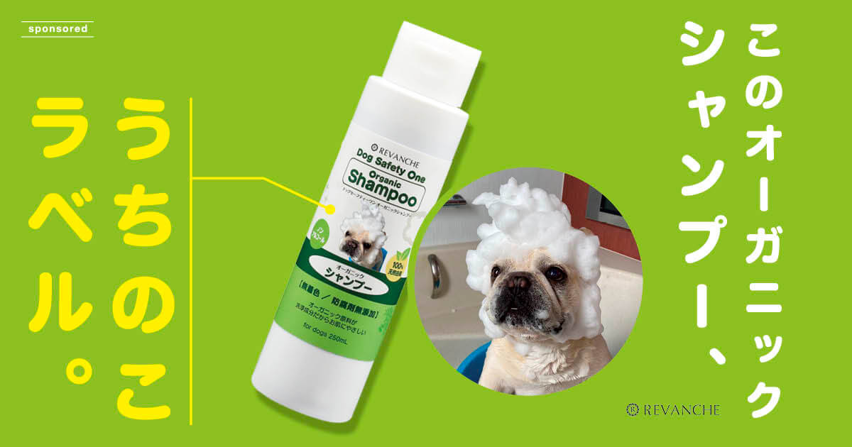 世界にたったひとつ うちのこラベル の自然派シャンプーはいかが フレンチブルドッグライフ