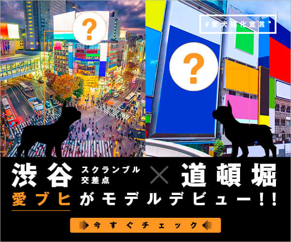 違い フレンチブルドッグ パグ ボストンテリア 3犬種を徹底比較 フレンチブルドッグライフ