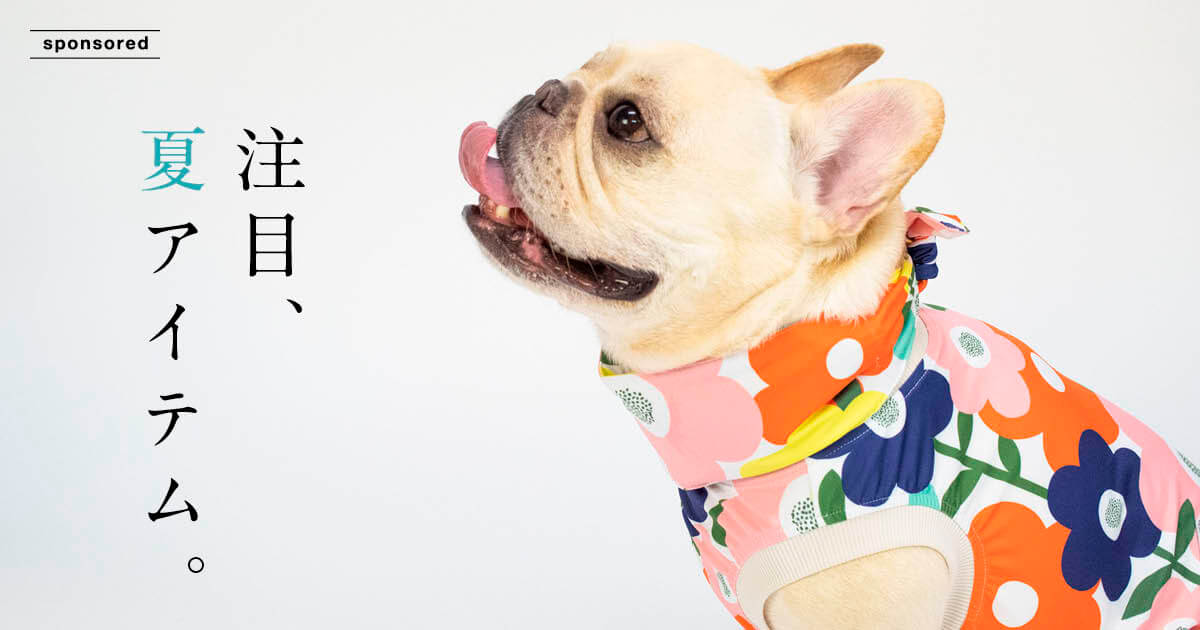 注目の夏アイテム！】工夫満載の洋服とスヌードが、この夏愛ブヒの味方