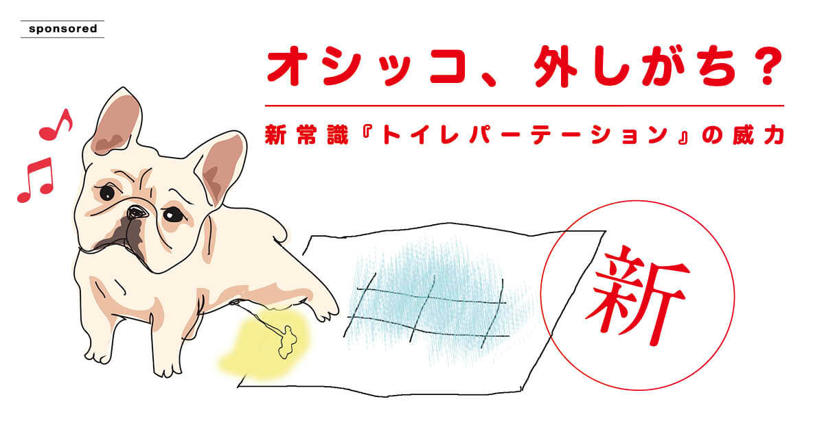 トイレシーツのフチでオシッコ この悩み 1 500円で解決しましょう フレンチブルドッグライフ