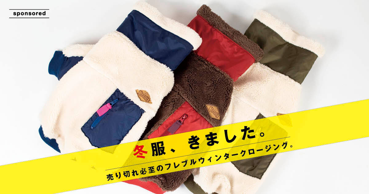 毎年すぐに売り切れちゃう！】フレブルに大人気な「STAR✩BOXx」の冬服