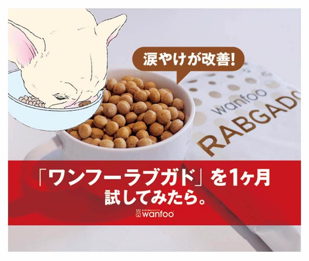 涙やけ改善 被毛ふんわり フードに悩みつづけたオーナーが ワンフー ラブガド を試してみたら フレンチブルドッグライフ