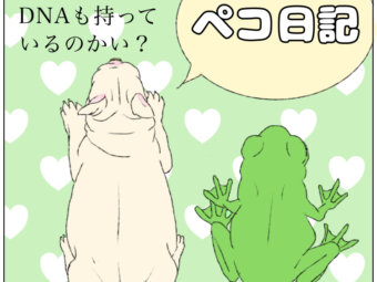ペコ日記