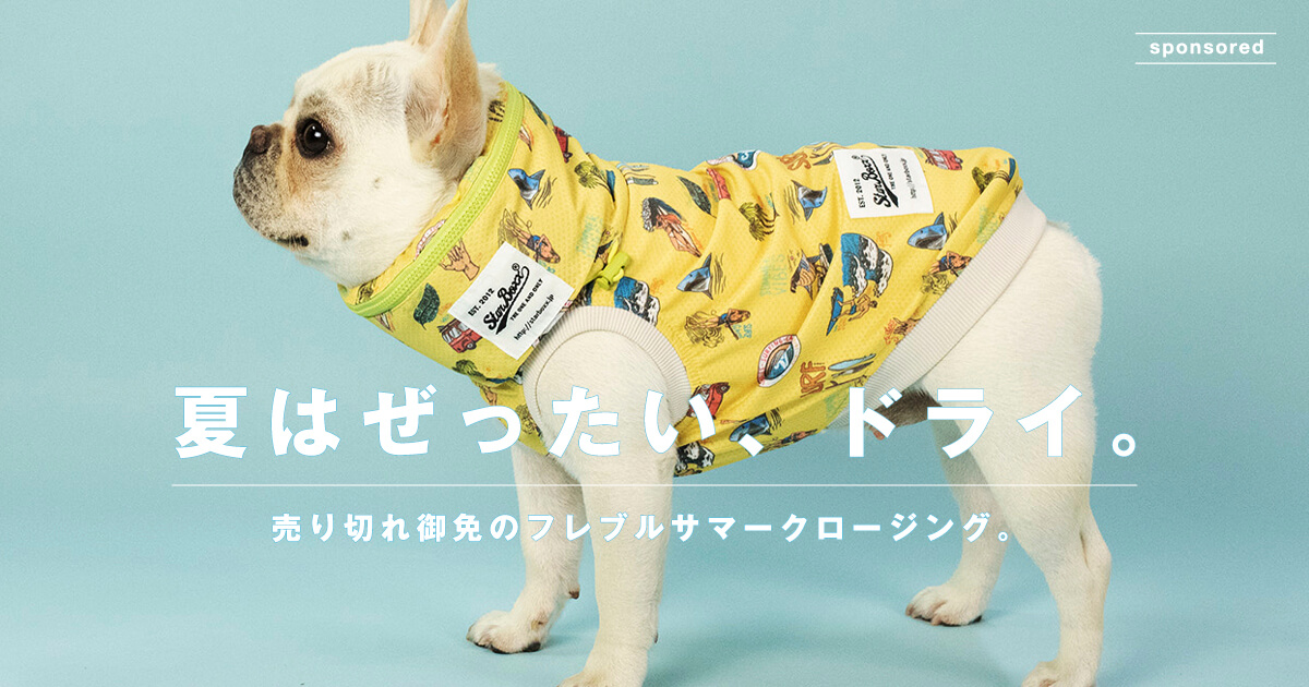 フレンチブルドッグのプレートです敷いてクールダウン立てて飾り板も良いです フレンチブルドッグのプレートです敷いてクールダウン立てて飾り板も