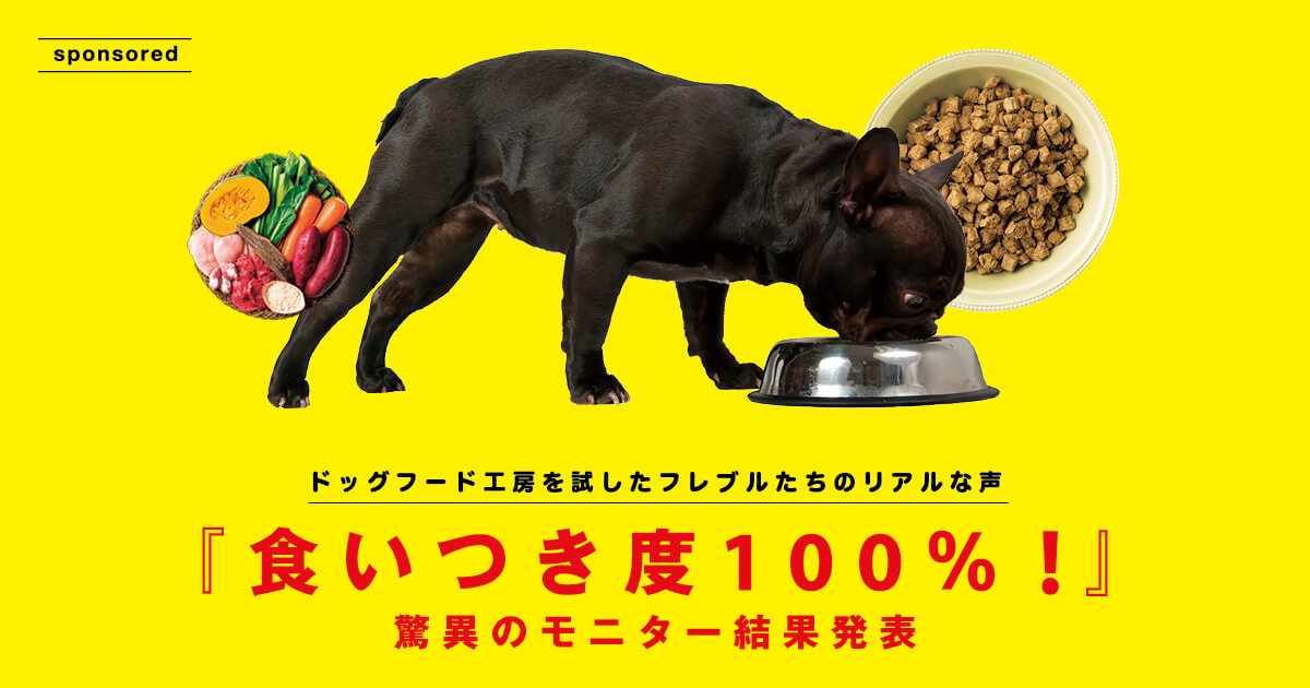 THE fu-do フレンチブルドッグ専用 アレルギー対応ドッグフード3袋分 THE fu-do フレンチブルドッグ専用 アレルギー対応ドッグフード3