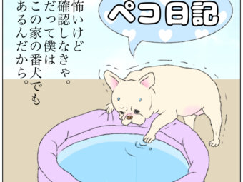 ペコ日記