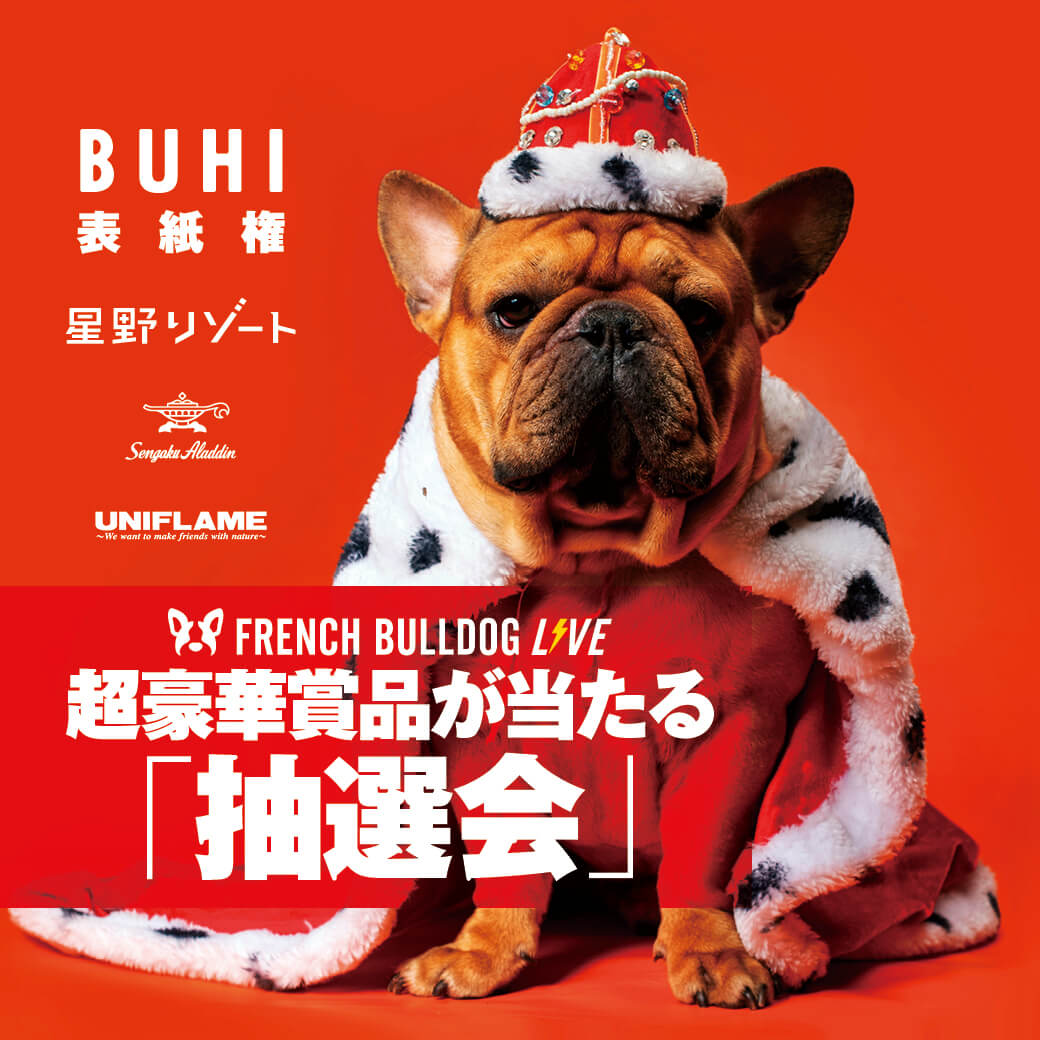 フレンチブルドッグ,イベント,French Bulldog LIVE