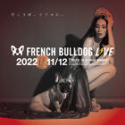 French Bulldog LIVE⚡️2022 -秋- (フレブルLIVE)