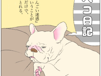 ペコ日記