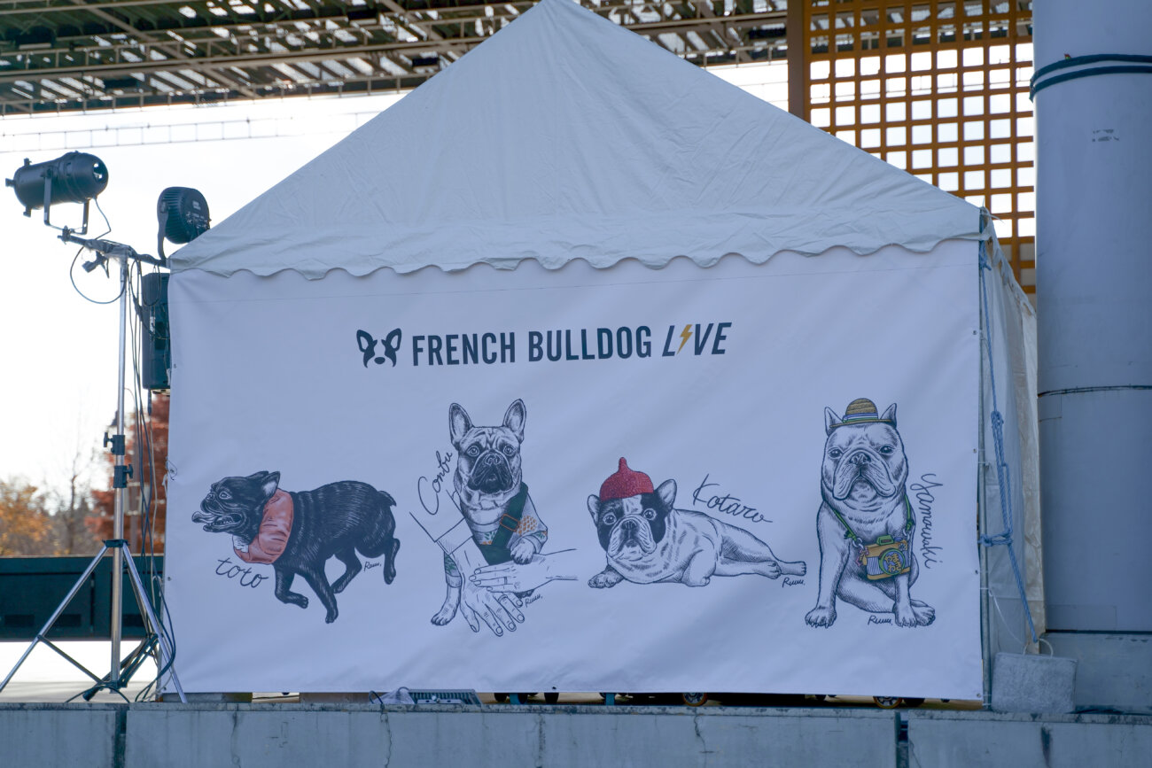 フレンチブルドッグ,イベント,French Bulldog LIVE,フレブルLIVE