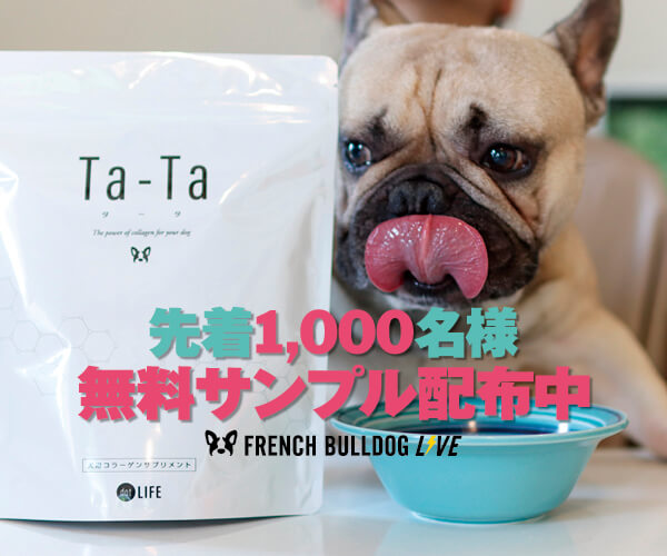 メガネざる　タータ　126g ドッグフード　2袋　新品　即日発送 タータ ta-ta 126g ドッグフード 犬 新品 即日発送 メガネざる タータ