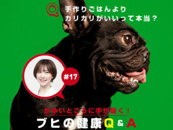 ブヒの健康Q&A