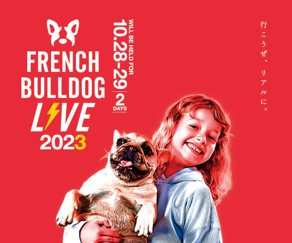 French Bulldog LIVE ️2023 (フレブルLIVE) | フレンチブルドッグライフ