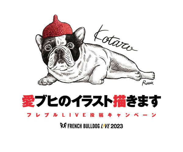 楽天市場】30%OFFセール 犬 服 犬服 接触冷感 濡らして冷たい