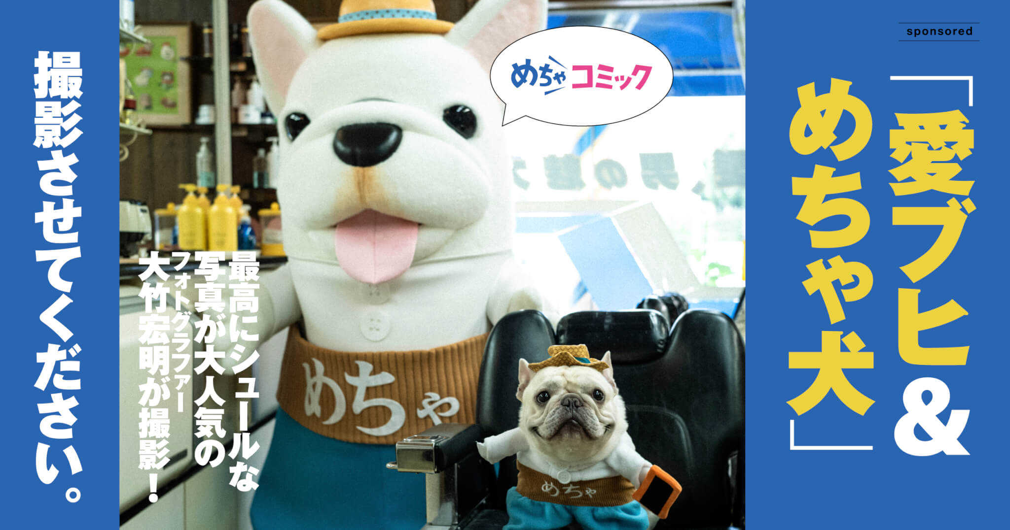 愛ブヒ&めちゃ犬」を大竹宏明が撮影！その写真を全国100万人に見て