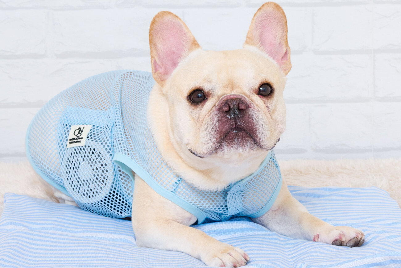 フレンチブルドッグ,熱中症対策,空調ペット服 COOL DOG