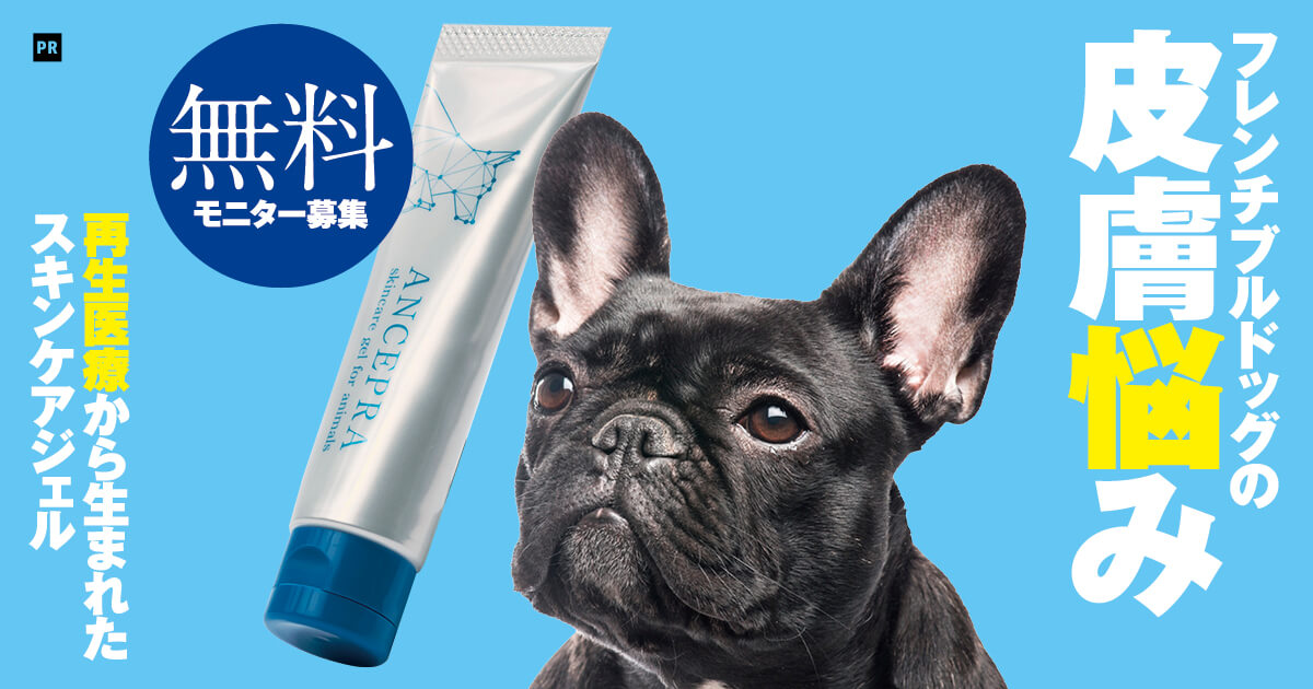 無料モニター募集！】犬用の再生医療から生まれた一歩進んだスキンケア