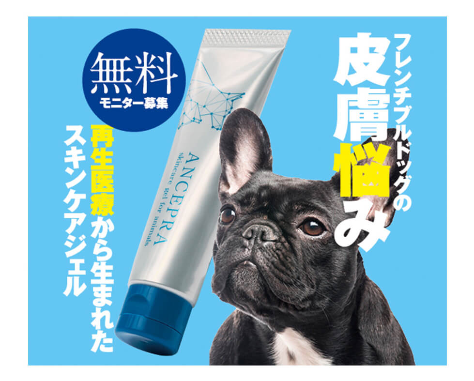 無料モニター募集！】犬用の再生医療から生まれた一歩進んだスキンケア