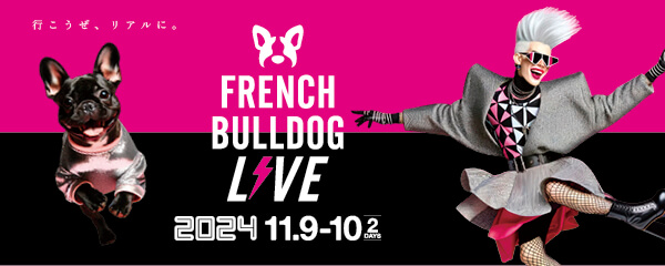French Bulldog LIVE⚡️2024 (フレブルLIVE)