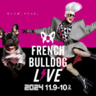 French Bulldog LIVE⚡️2024 (フレブルLIVE)