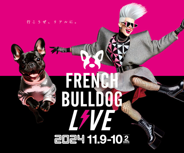 French Bulldog LIVE⚡️2024 (フレブルLIVE) | フレンチブルドッグライフ