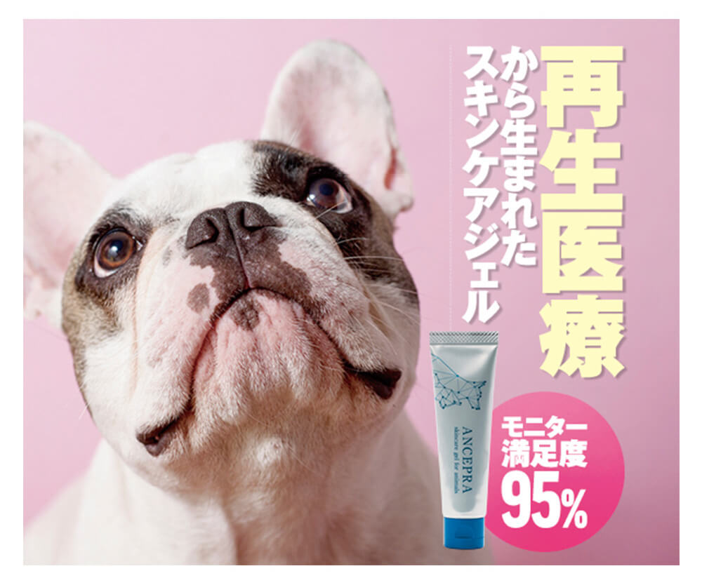 満足度95%!】動物の再生医療研究から生まれた、一歩進んだ 満足度95%!】動物の再生医療研究から生まれた、一歩進んだ