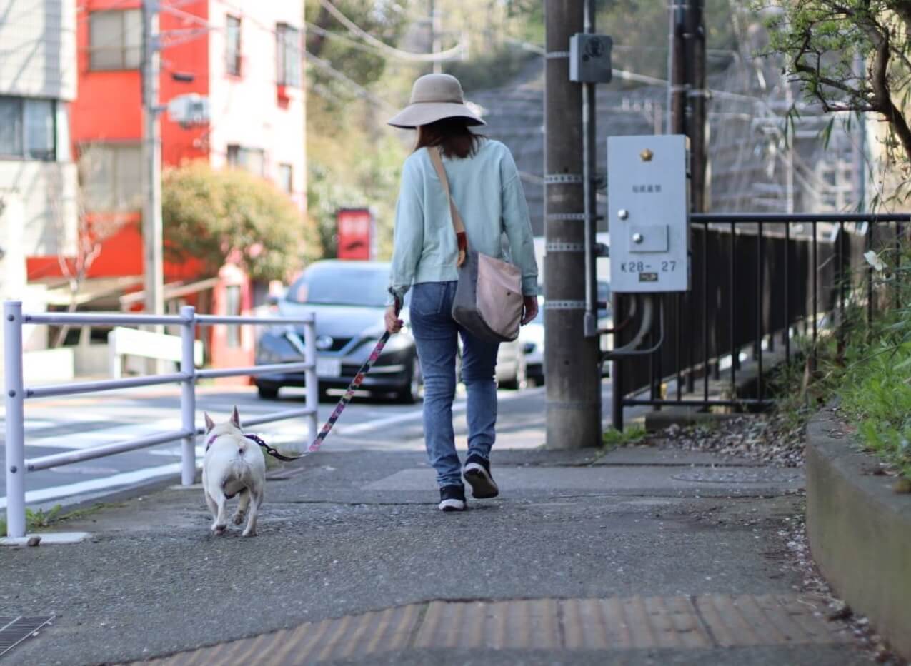 フレンチブルドッグ,幸福論