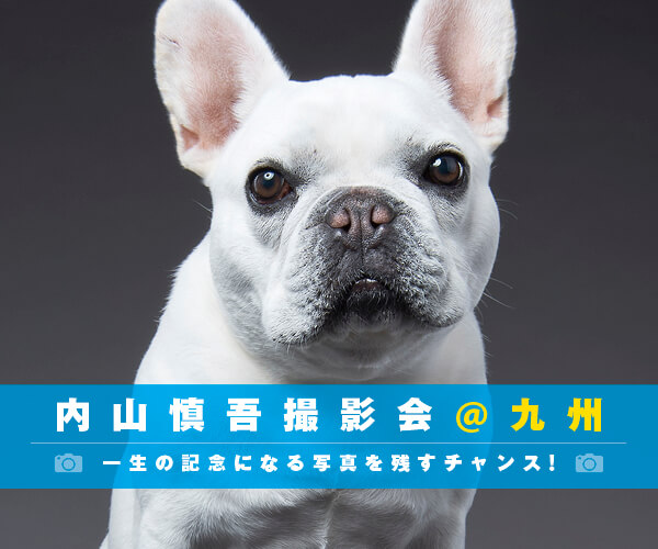 撮影会開催！】フォトグラファー内山慎吾の撮影会＠九州 | フレンチ