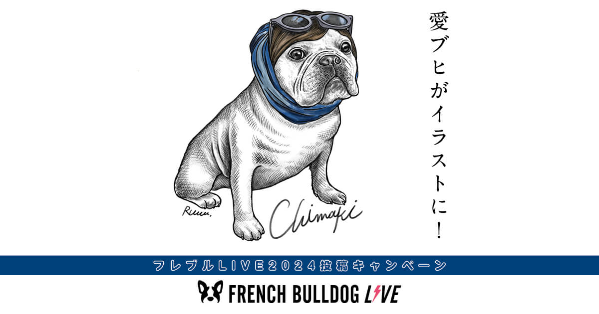 定率割引 往復 FBLIVE_tes_FB_thum.jpg トップス
