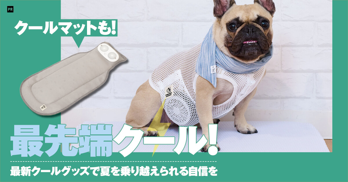 熱中症対策の最先端グッズ「空調ペット服 COOL DOG®︎」を使ってみたら
