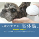 【体験談】長時間のお風呂はシニア犬の負担に…「リファファインバブル U」で『時短・ニオイ軽減・被毛ふんわり』が実現した感動エピソード