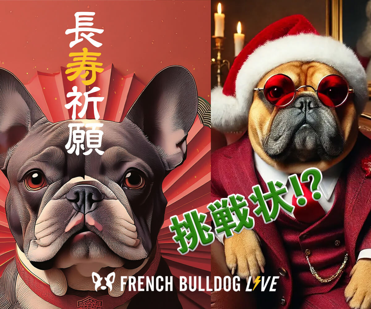 フレンチブルドッグ♡オブシディアン♡Xmas♡No.2413 フレンチブルドッグ♡オブシディアン♡Xmas♡No.2413 - メルカリ