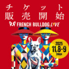 【前売りチケット販売開始！】フレブルLIVE 2025は、11/8(土)9(日)開催！スチャダラパーによるテーマソング制作も決定