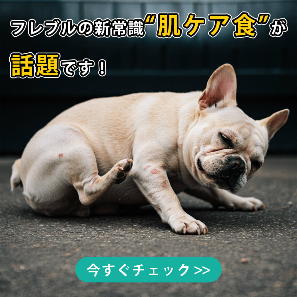 フレンチブルドッグ