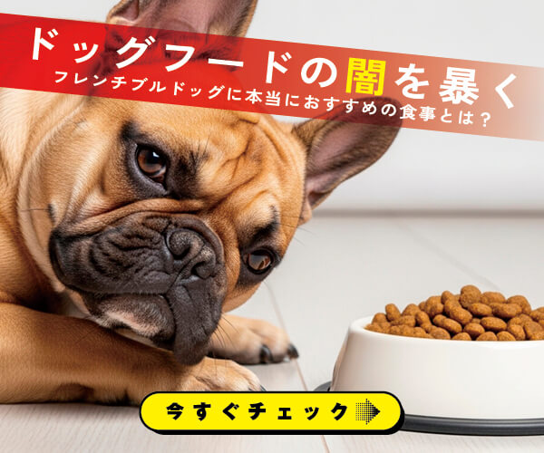 フレンチブルドッグ