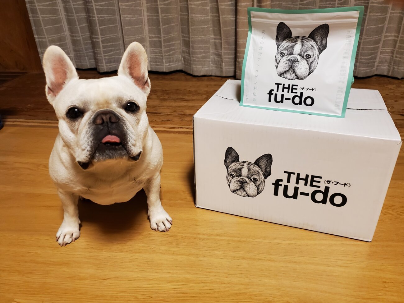 フレンチブルドッグ,THE fu-do