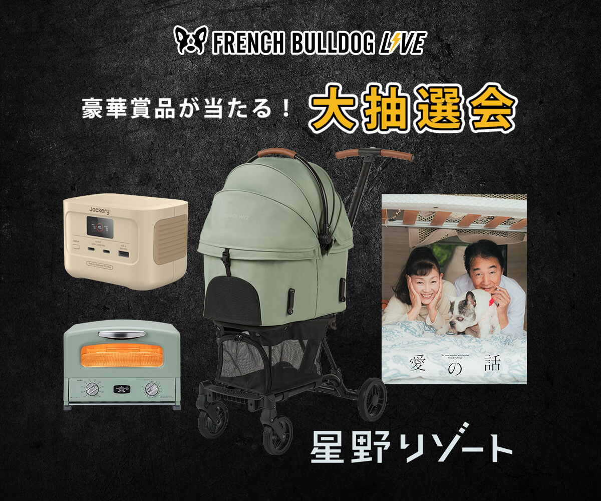 ジャンケンを勝ち抜け！】フレブルLIVE2025 抽選会の超豪華賞品
