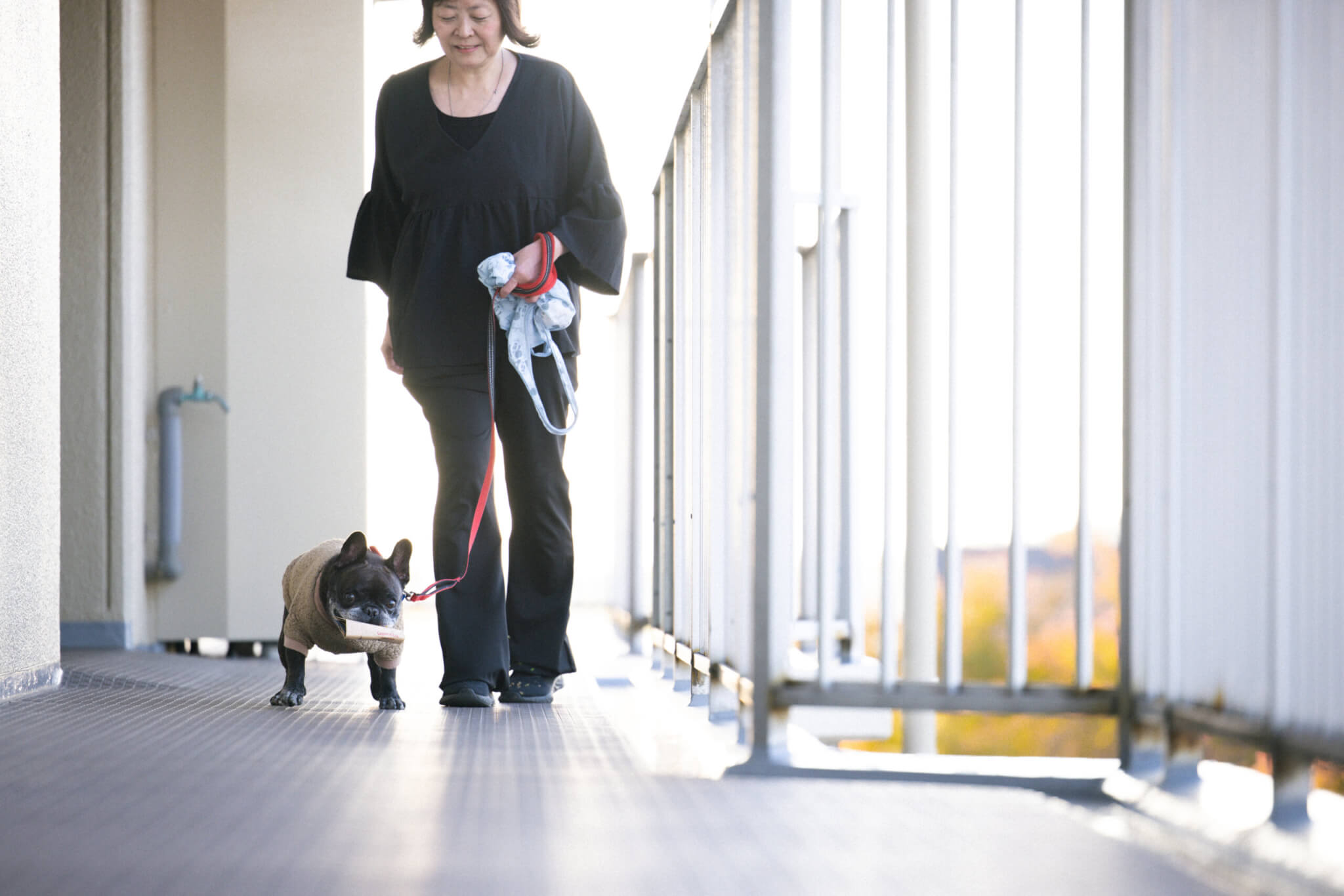 ベランダを歩くちゃおちゃん