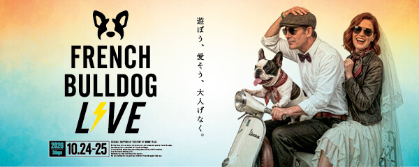 French Bulldog LIVE⚡️2026 (フレブルLIVE)