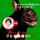 ブヒの健康Q＆A